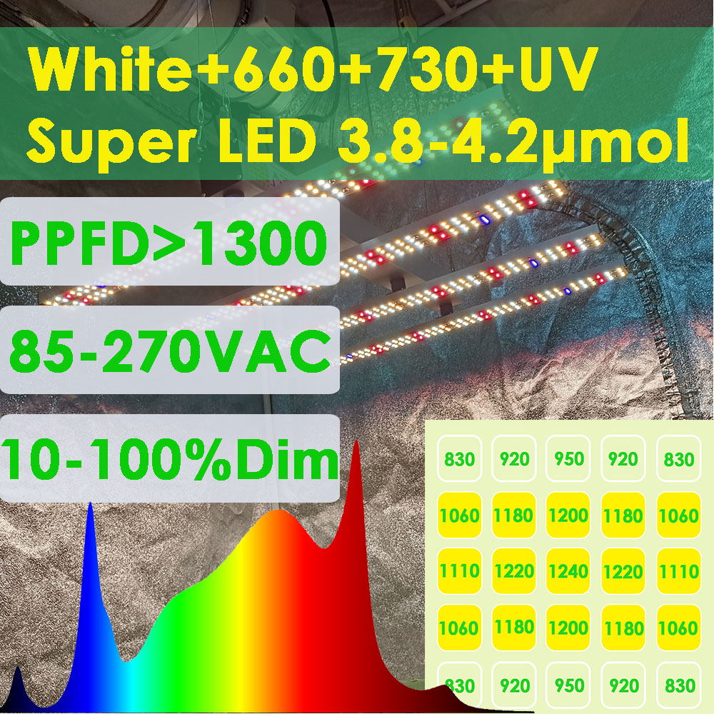 Grow Tent 4X4 - SOLIDEE 240W Quick Spider L2 Lampe