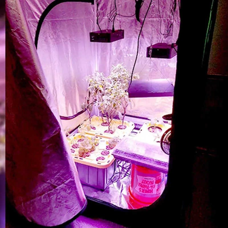 Nouvelle Tendance : Tente de C - Grow Tent 4X4 avis et prix