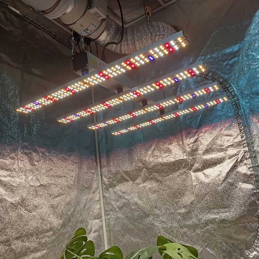 SOLIDEE 240W Quick Spider L2 L - Grow Tent 4X4 avis et prix