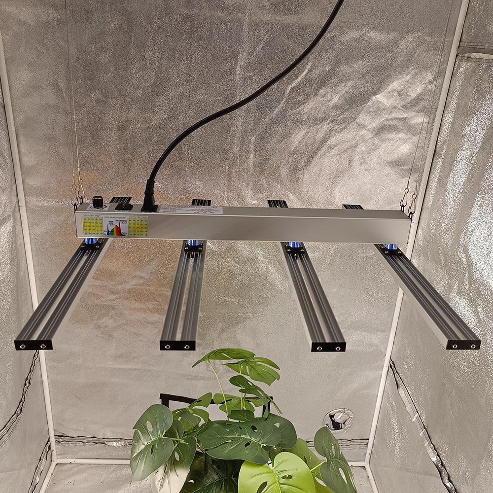 SOLIDEE 240W Quick Spider L2 L - Grow Tent 4X4 avis et prix