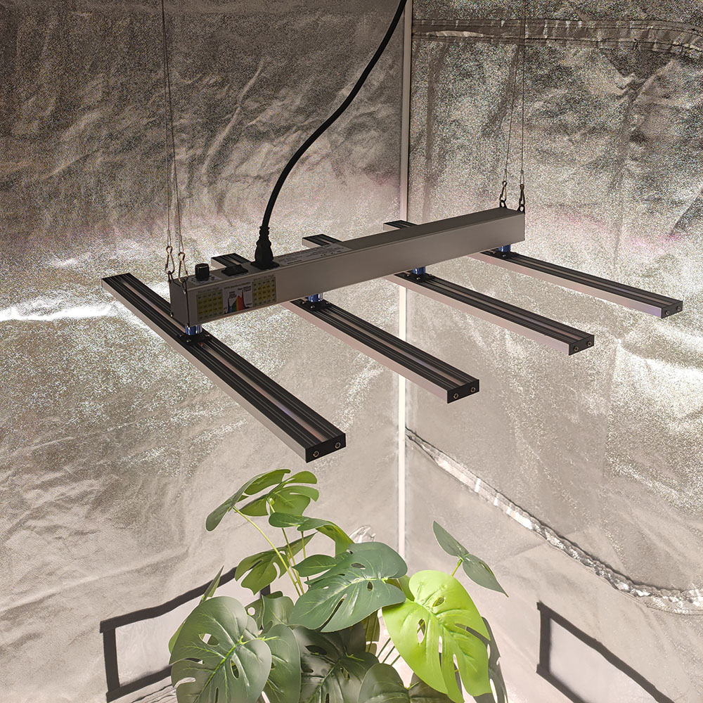 SOLIDEE 240W Quick Spider L2 L - Grow Tent 4X4 avis et prix